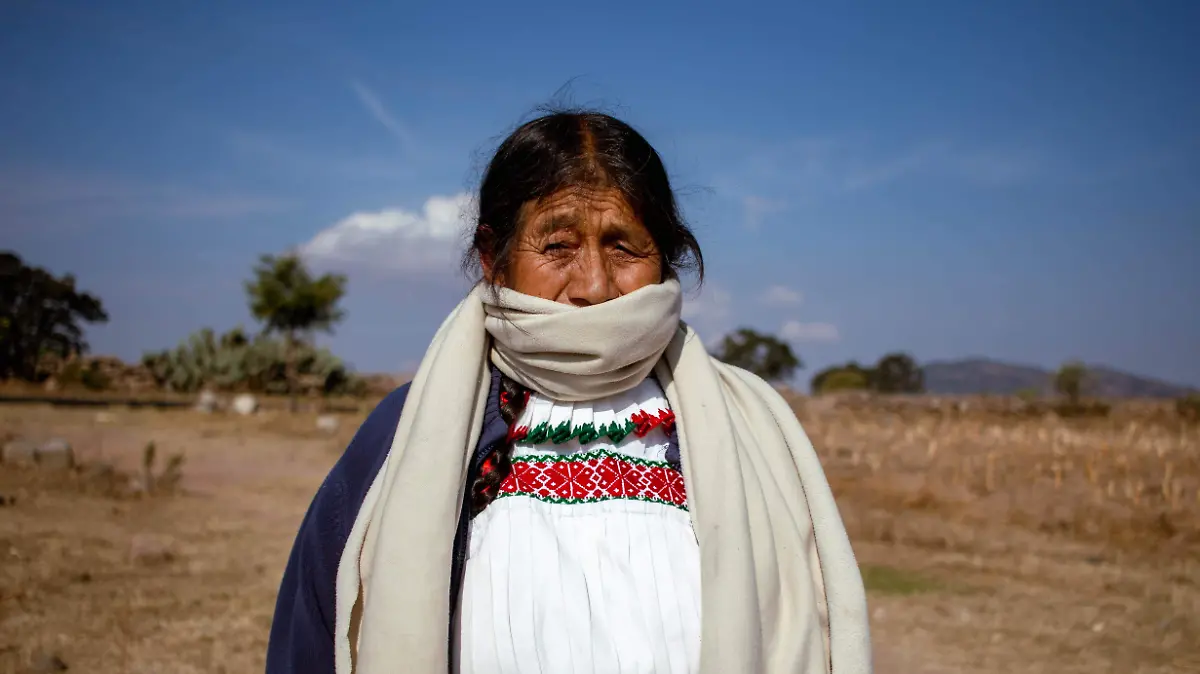 Sale a recibir los rayos del sol para calentar su cuerpo.  Constanza Escamilla.